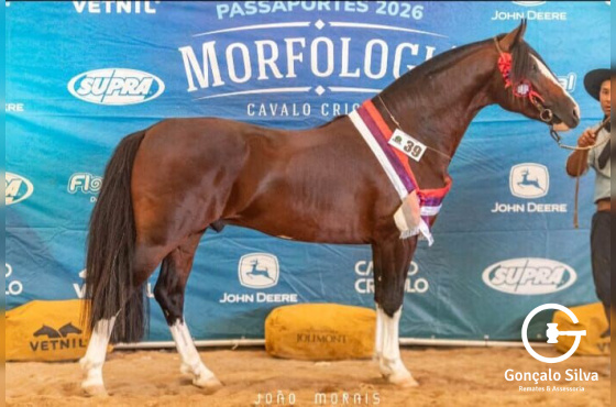 COBERTURAS PONS JAGUARI 