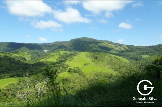 Fazenda no Paraná com 339 Hectares