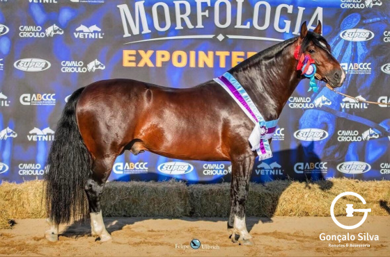 COBERTURA - JALISCO DA GAP SAO PEDRO