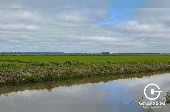 Área com 223 Hectares em Eldorado do Sul