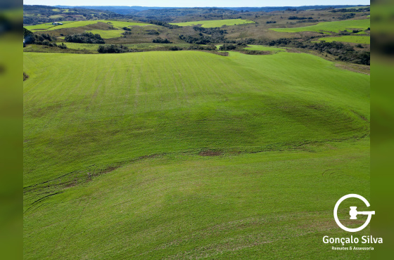 Área Rural com 90 Hectares em Esmeralda