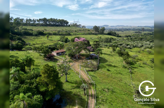 Sítio com 42 Hectares em Campo Bom