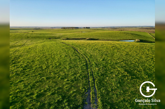 Fazenda com 410 Hectares em Bagé
