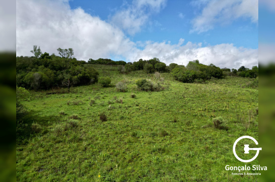 Área de 91 Hectares em Vacaria