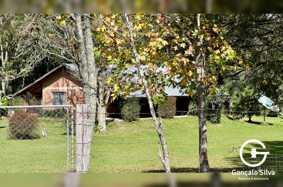 Fazenda com 425 Hectares em Caxias do Sul