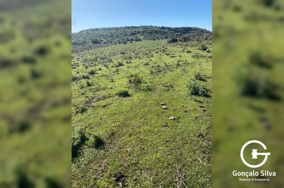 Fazenda com 712 Hectares em Sant'ana do Livramento