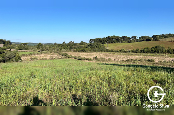 Área com 15,5 Hectares em Vacaria