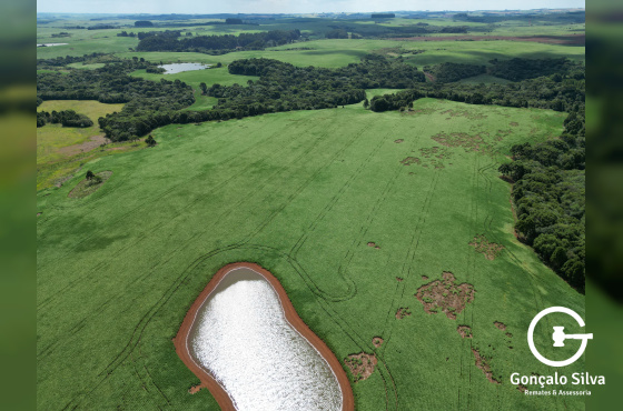 Fazenda de 166 Hectares em Muitos Capões
