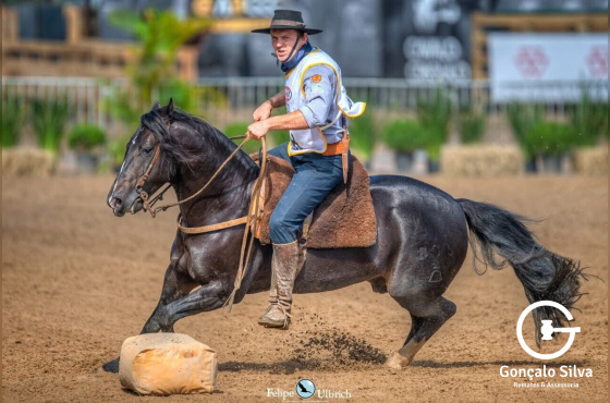 COBERTURAS CAMPANA ECHO A MANO
