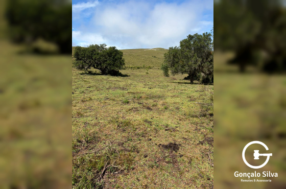 Área rural com 115 Hectares em Candiota