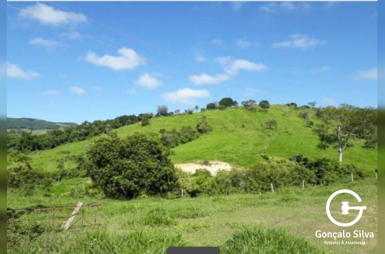 Fazenda no Paraná com 339 Hectares