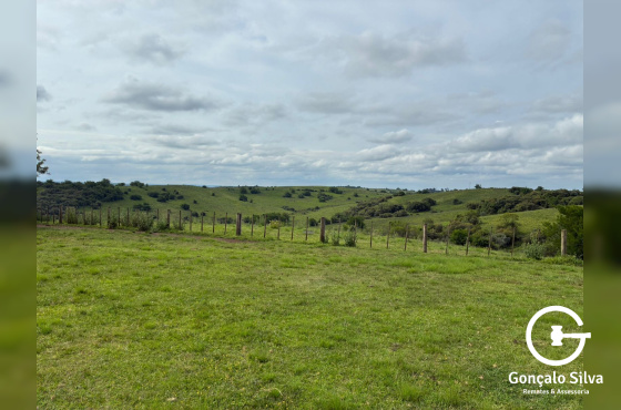 Fazenda com 1.300 Hectares região da Fronteira 