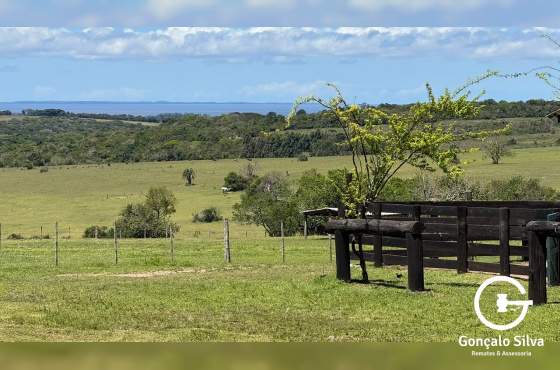 Fazenda com 97 Hectares, com estrutura para cabanha a 1H de POA