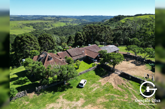Fazenda com 223 Hectares em São Francisco de Paula