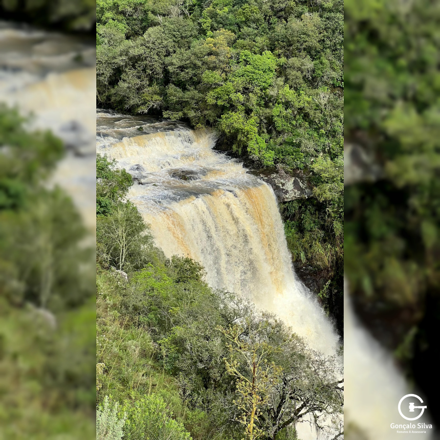 Área de 91 Hectares em Vacaria