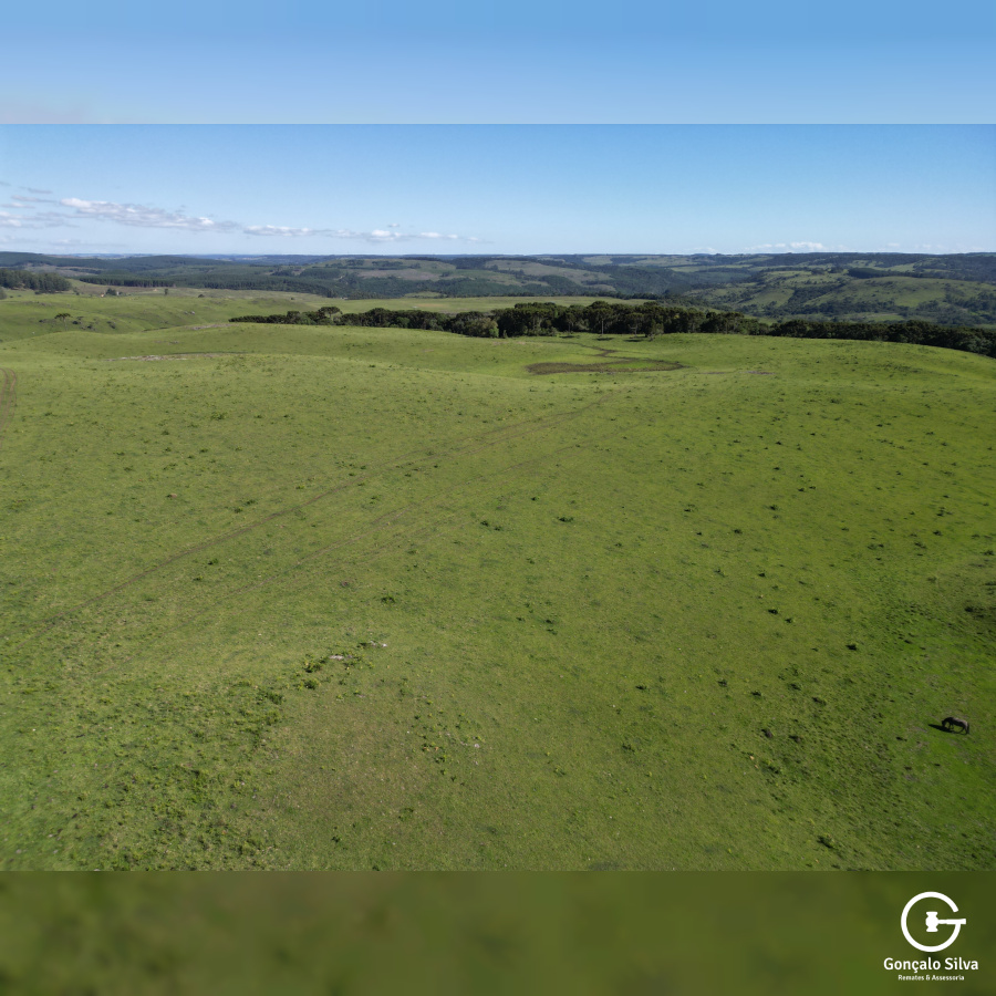 Fazenda com 223 Hectares em São Francisco de Paula