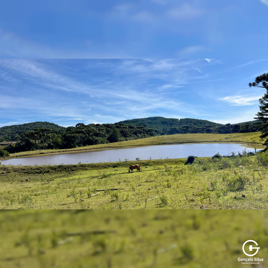 Fazenda com 425 Hectares em Caxias do Sul