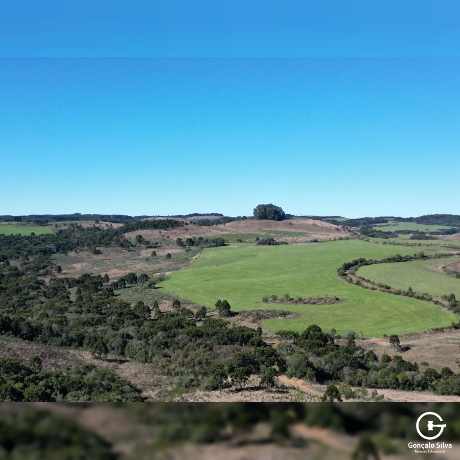 Área Rural com 535 Hectares em Santa Catarina.