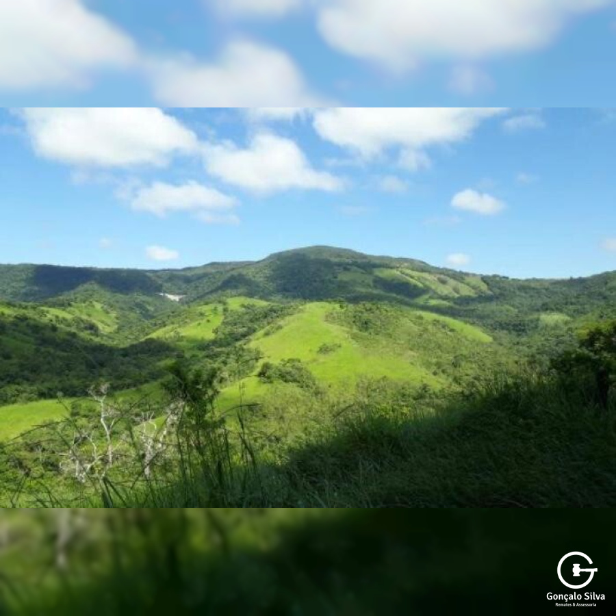 Fazenda no Paraná com 339 Hectares