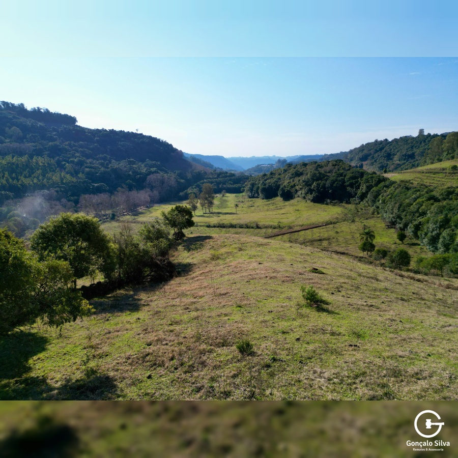 Propriedade Rural com 24 Hectares na Serra Gaúcha