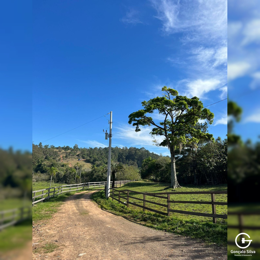 Sítio com 42 Hectares em Campo Bom