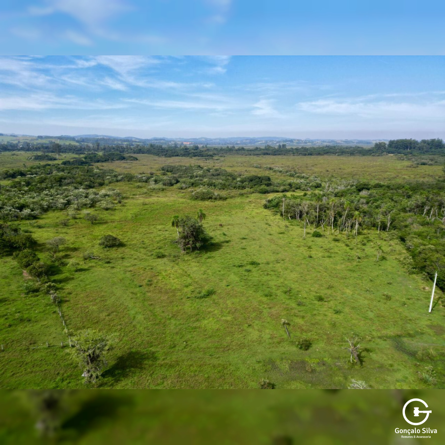 Sítio com 42 Hectares em Campo Bom