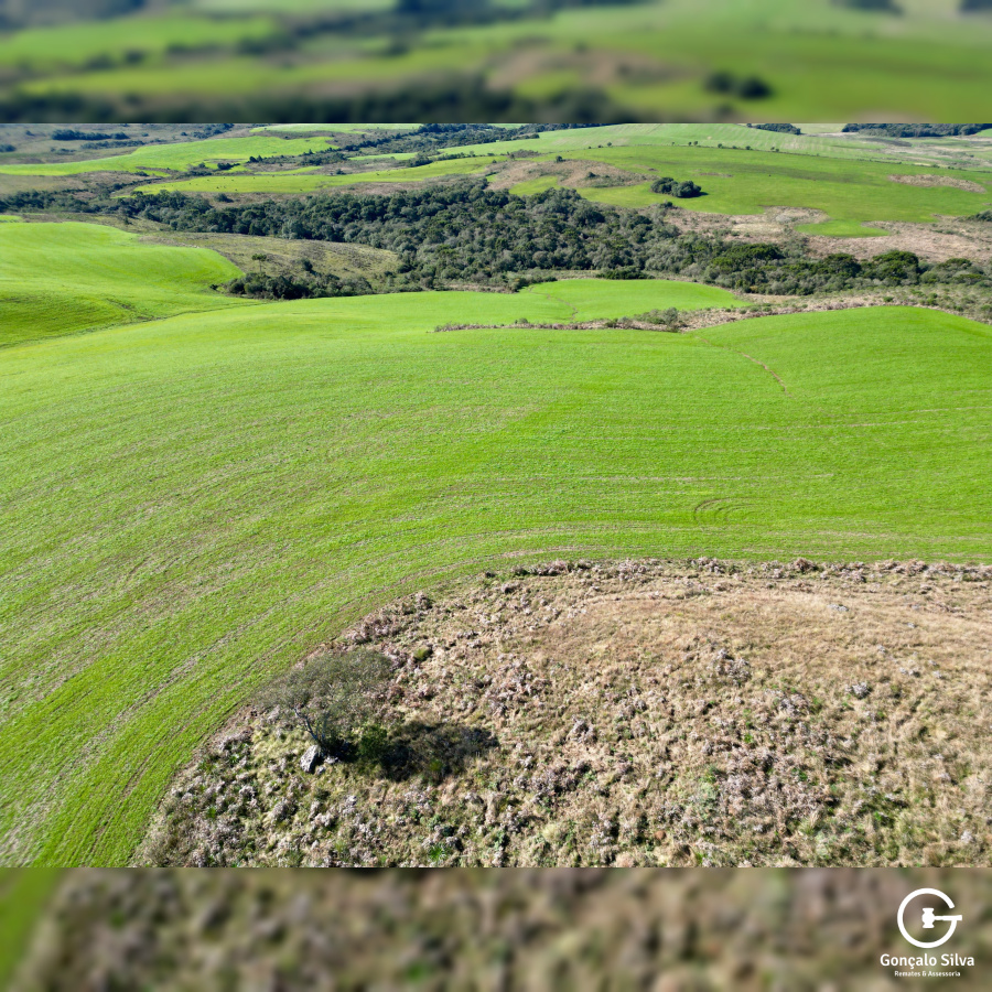 Área Rural com 90 Hectares em Esmeralda