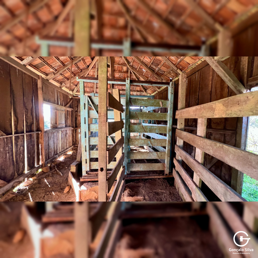 Fazenda com 277 Hectares em São Francisco de Paula