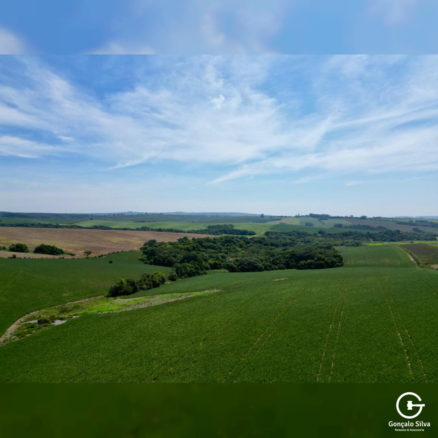 Área Rural com 64 Hectares em Guaíba