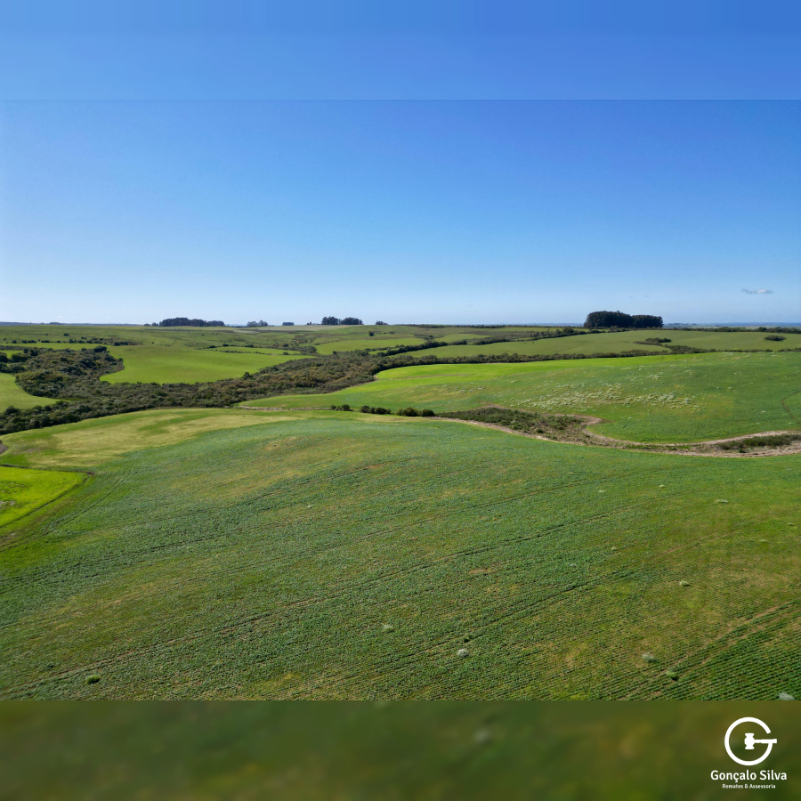 Área Rural com 77 Hectares em Lavras do Sul