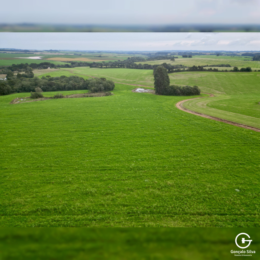 Área rural com 52 Hectares em Vacaria