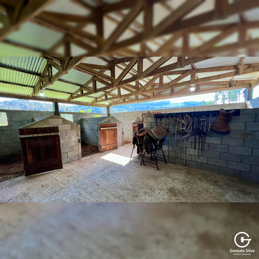 Propriedade Rural com 24 Hectares na Serra Gaúcha