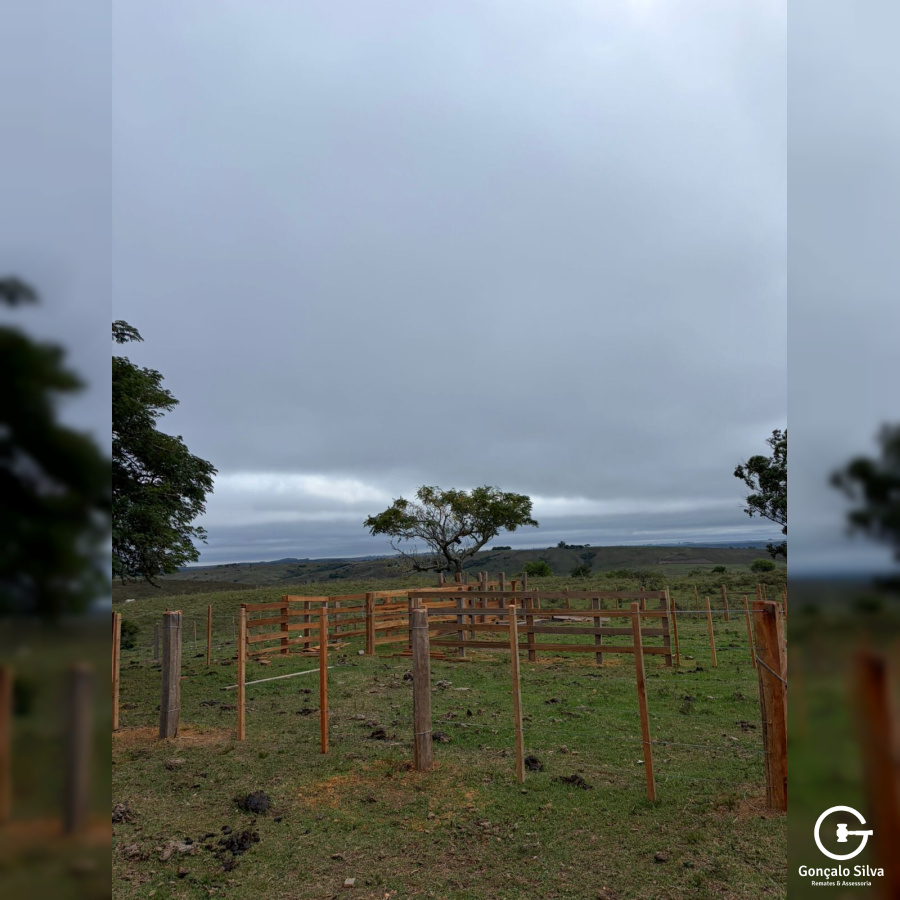 Área rural com 115 Hectares em Pinheiro Machado