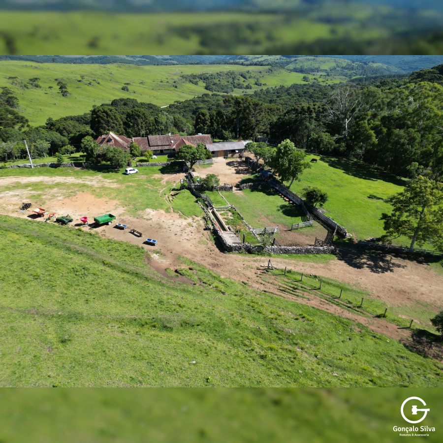 Fazenda com 223 Hectares em São Francisco de Paula