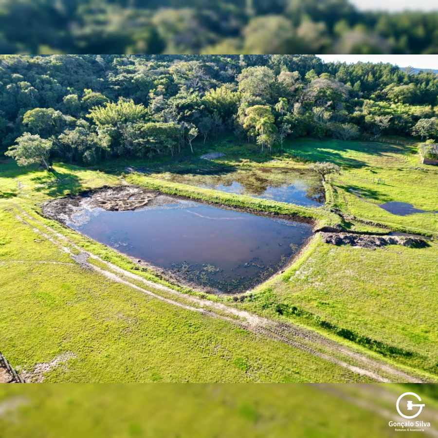 Cabanha fantástica com 18 Hectares em Viamão