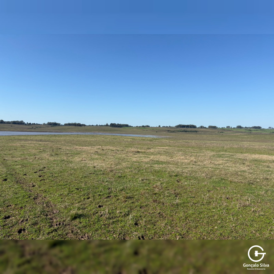 Fazenda com 355 Hectares em Candiota/Bagé
