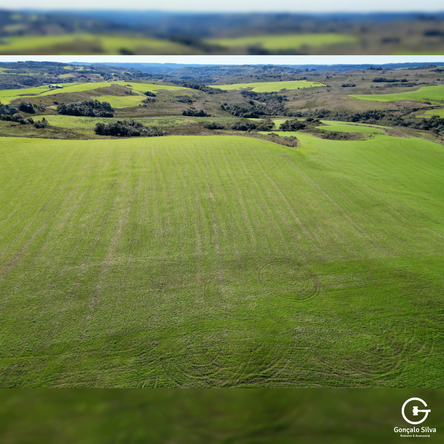 Área Rural com 90 Hectares em Esmeralda