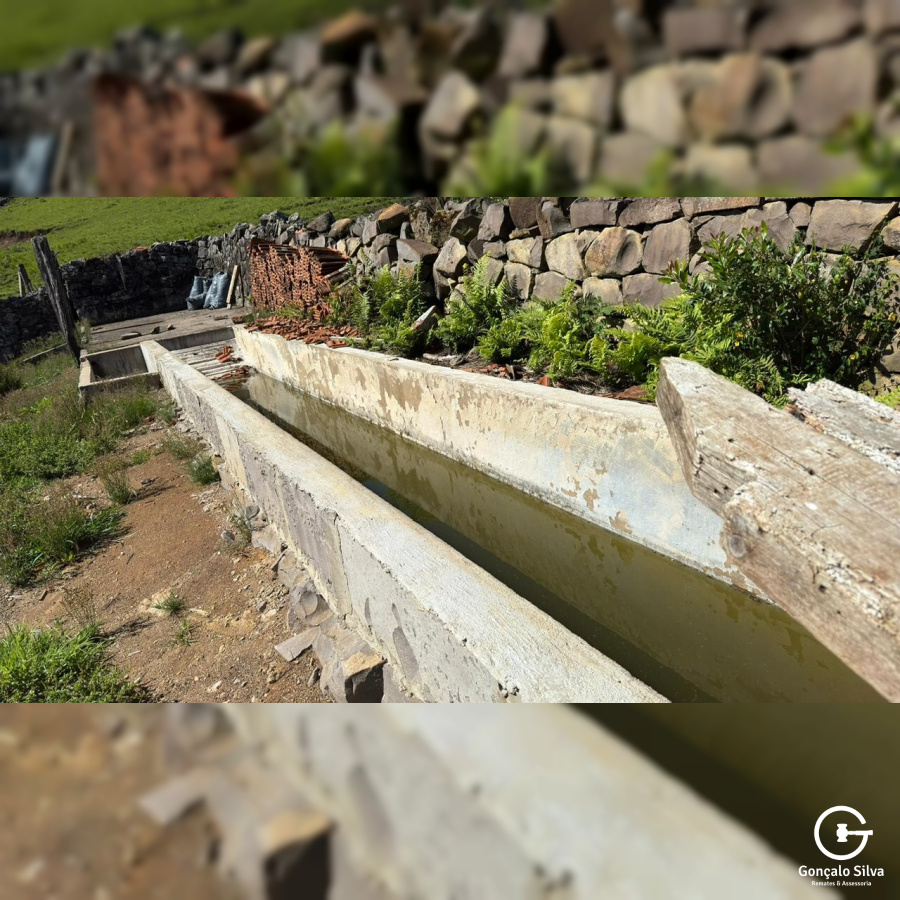 Fazenda com 223 Hectares em São Francisco de Paula