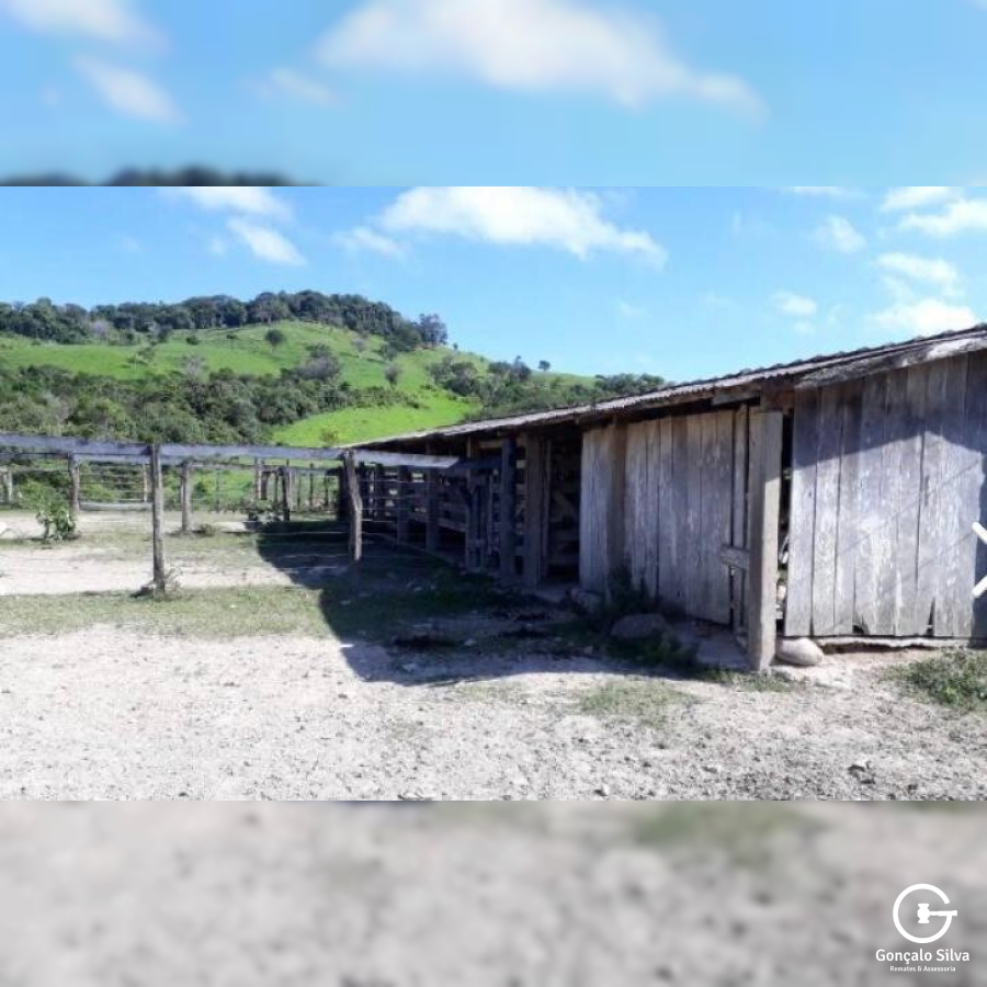 Fazenda no Paraná com 339 Hectares