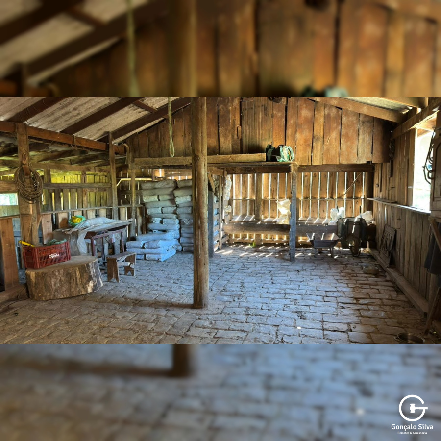 Fazenda com 223 Hectares em São Francisco de Paula