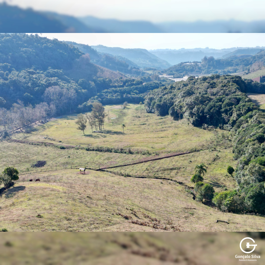 Propriedade Rural com 24 Hectares na Serra Gaúcha