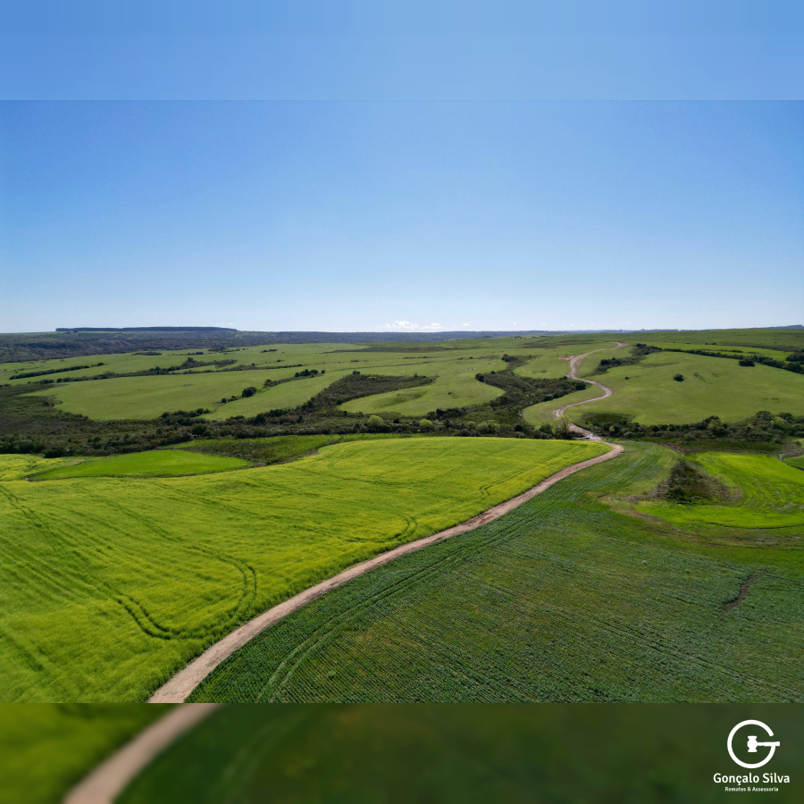 Área Rural com 77 Hectares em Lavras do Sul