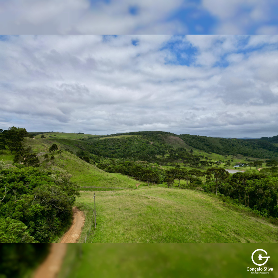Fazenda de 445 Hectares em Riozinho