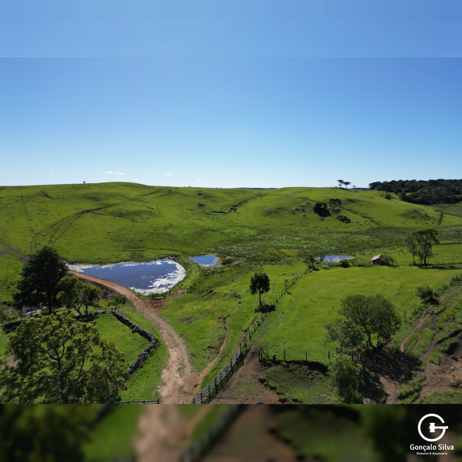 Fazenda com 223 Hectares em São Francisco de Paula