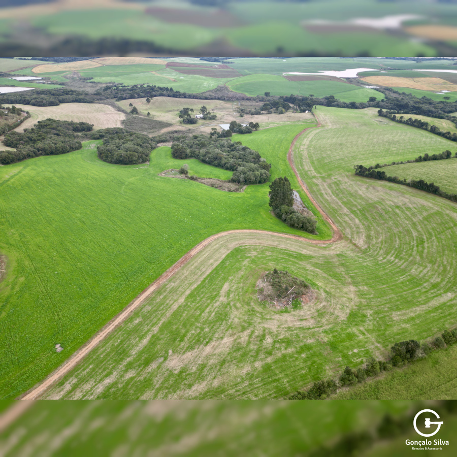 Área rural com 52 Hectares em Vacaria