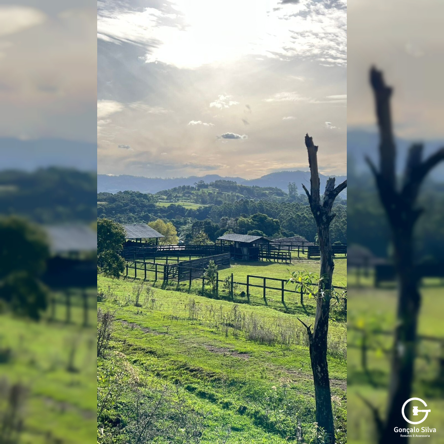 Cabanha montada com 4 Hectares próxima a Presidente Lucena