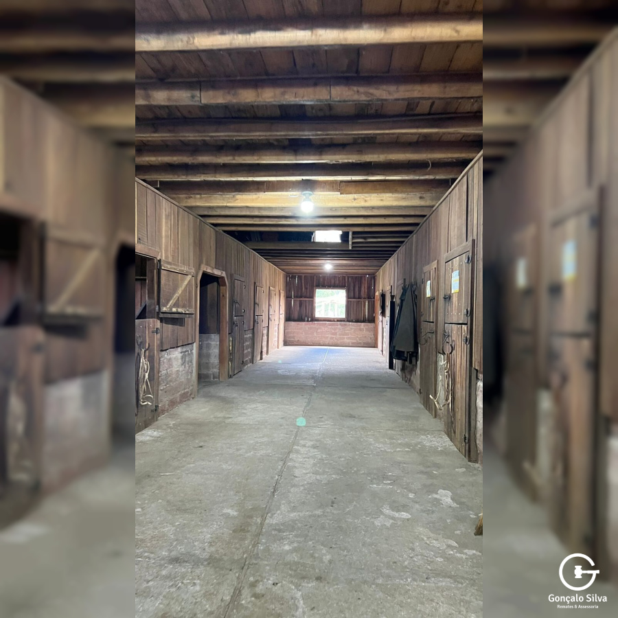 Chácara com 04 Hectares em Gramado