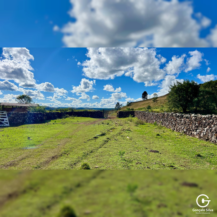 Fazenda com 277 Hectares em São Francisco de Paula