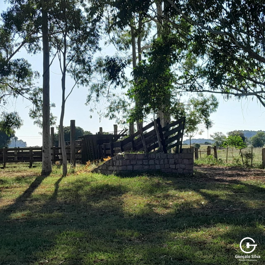 Fazenda com 98 hectares em Viamão, Águas Claras