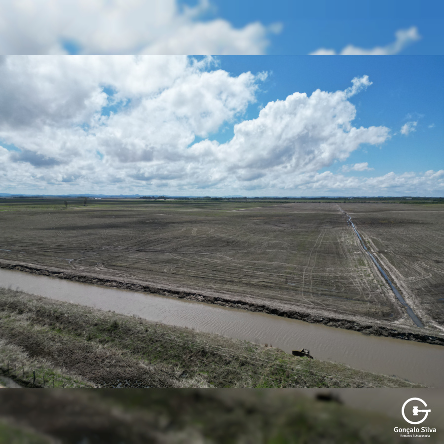 Área Rural com 132 Hectares em Tapes